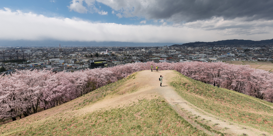 ライオンズの夢が生んだ 信州の桜の名所