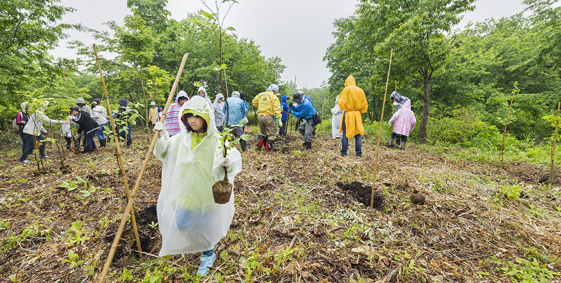 子どもたちとブナ植林を実施