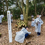 落葉樹で山に保水力を 延べ7500本の植樹