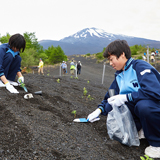 100年の計で挑む 富士山の緑化活動