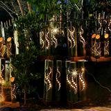玉名の町に活気を生み出す 竹灯籠の明かり