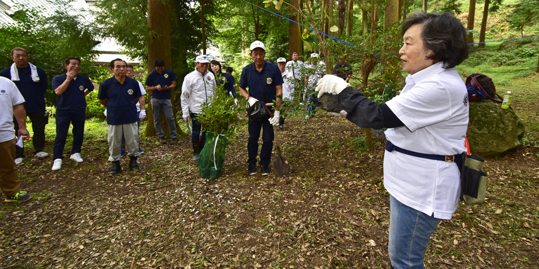 ドングリを育苗し、土地の 生態系にかなう森づくりを