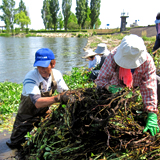 母なる琵琶湖の再生に向け 現場主義で活動を展開