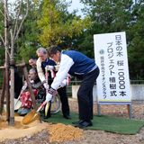 ライオズヒルで 高齢者と一緒に桜を植樹