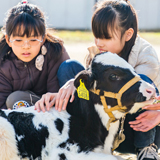 視覚支援学校で特別な体験ふれあい動物園