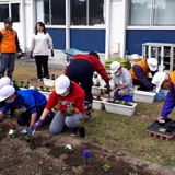 小学生と一緒に パンジーの植え付け