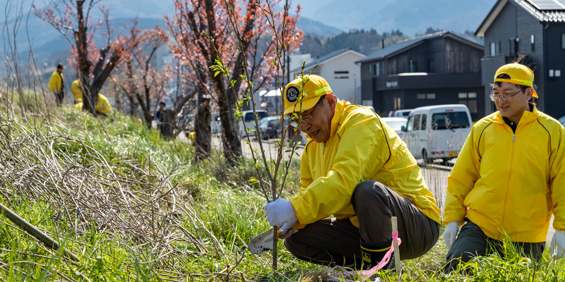 輪島を緑にあふれた町に 計100本の桜の植樹