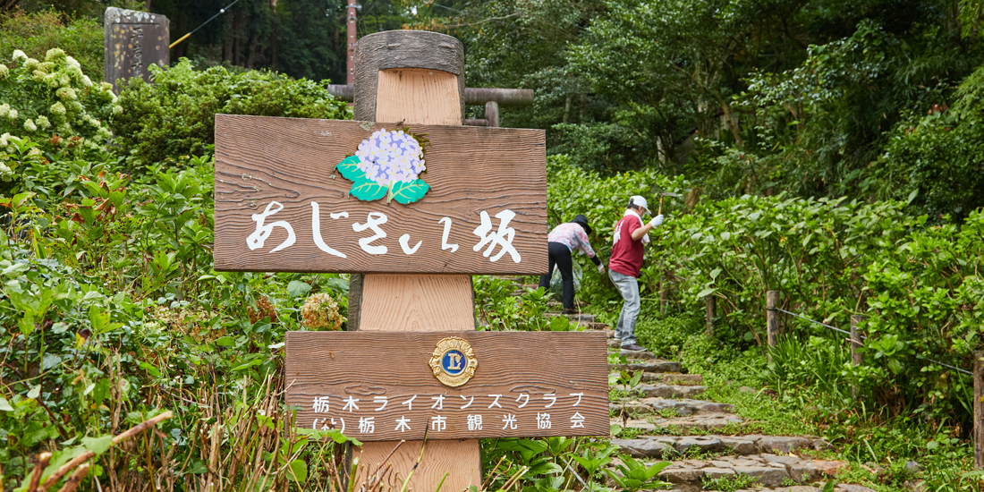 クラブの作った観光地 あじさい坂景観保全活動