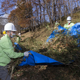 オオムラサキ舞う里山の魅力を伝えたい