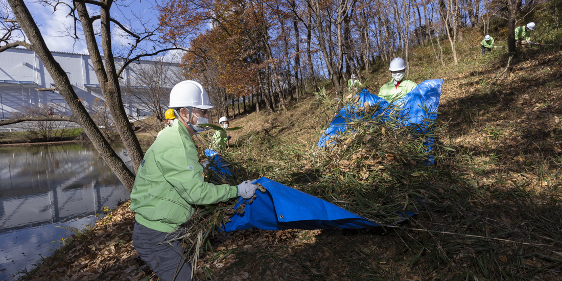 オオムラサキ舞う里山の魅力を伝えたい