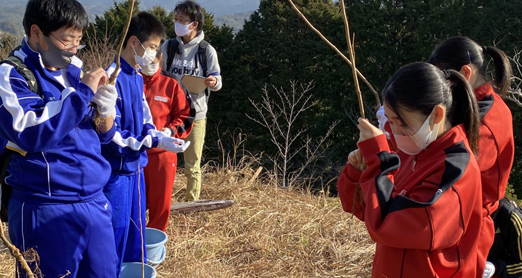 クラブが作った桜の名所にヨウコウザクラを植樹