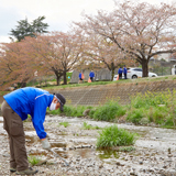 ふるさとの景色を守るため地域の川辺をきれいに