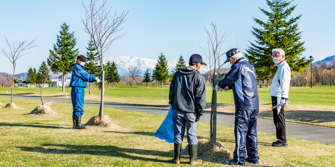 “愛”にあふれる町に新たな桜の名所を