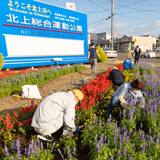 総合運動公園来場者を花壇で出迎え