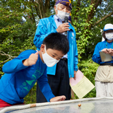 どんぐり山の恵みで楽しむ どんぐり独楽大会