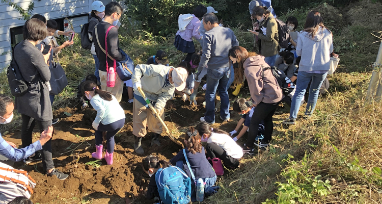 25年続く地域子供芋ほり大会