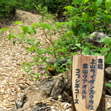 市民の健康増進を図る上山型クアオルトに協力