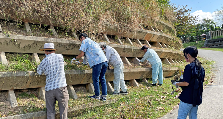 毎年継続している球根の植え付けと野球大会