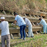 毎年継続している球根の植え付けと野球大会