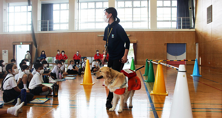 体験を通じて知る 小学校での盲導犬授業