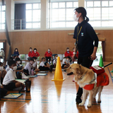 体験を通じて知る 小学校での盲導犬授業