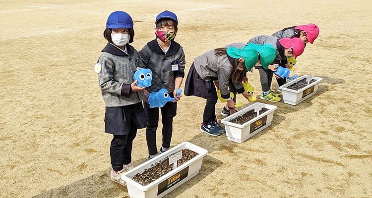 園児が育てた花で動物園を飾ろう