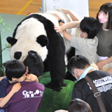 視覚支援学校にパンダがやってきた