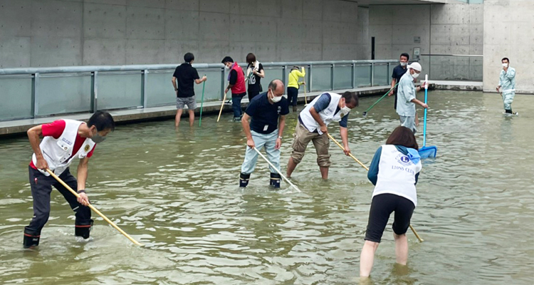 毎年恒例 狭山池博物館の水庭清掃