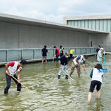 毎年恒例 狭山池博物館の水庭清掃