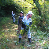 佐渡金銀山の古道整備と世界文化遺産登録