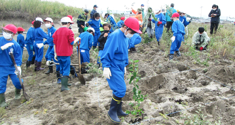 子どもたちと松浜海岸にグミの木を植樹