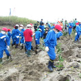 子どもたちと松浜海岸にグミの木を植樹