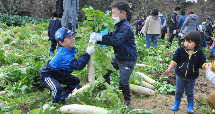ラグビー少年らと野菜の収穫を楽しむ