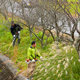 地域に愛される美しい河川環境を