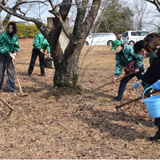 60余年続く桜の保全活動