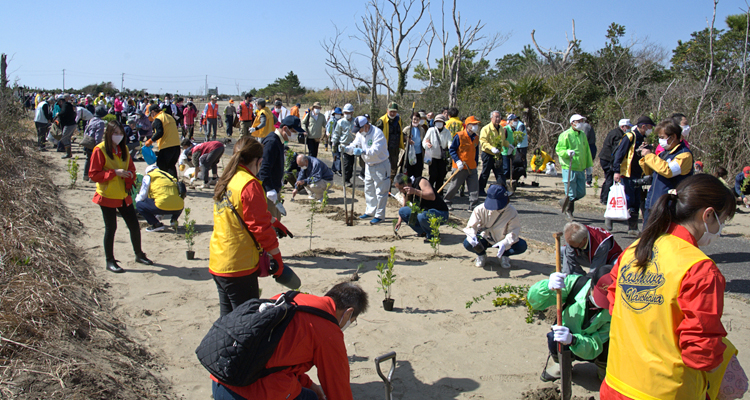 地区の植樹プロジェクトで海岸保安林の再生を