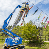 里山の風景に彩りを添えるみんなのこいのぼり