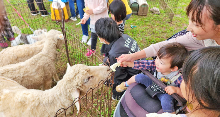 動物と仲良くなろう ふれあい動物園