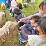 動物と仲良くなろう ふれあい動物園