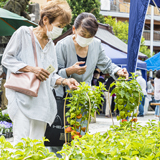 4年ぶりに戻ってきた夏を告げるほおずき市