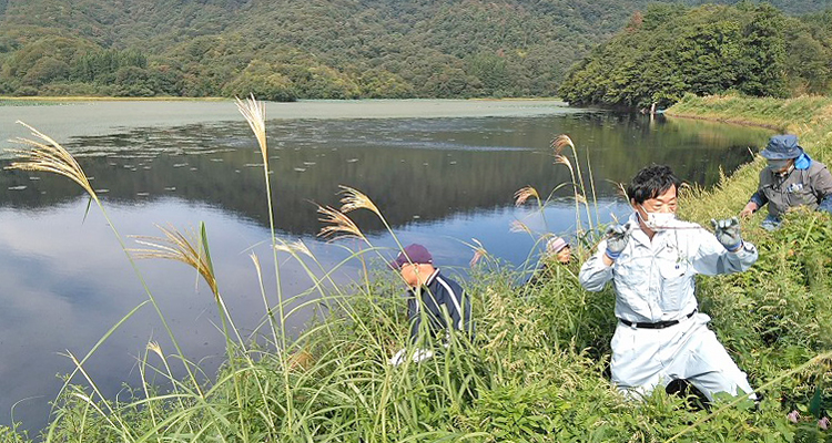 都沢湿地を守る水辺環境保全事業