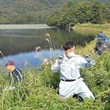 都沢湿地を守る水辺環境保全事業