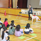 盲導犬について学ぶ 小学校で特別授業