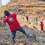シカの食害に負けず子どもたちと植樹活動