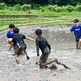 泥にまみれ笑顔はじける田んぼラグビー