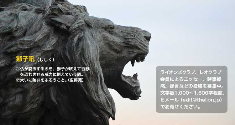 ひまわりの記憶