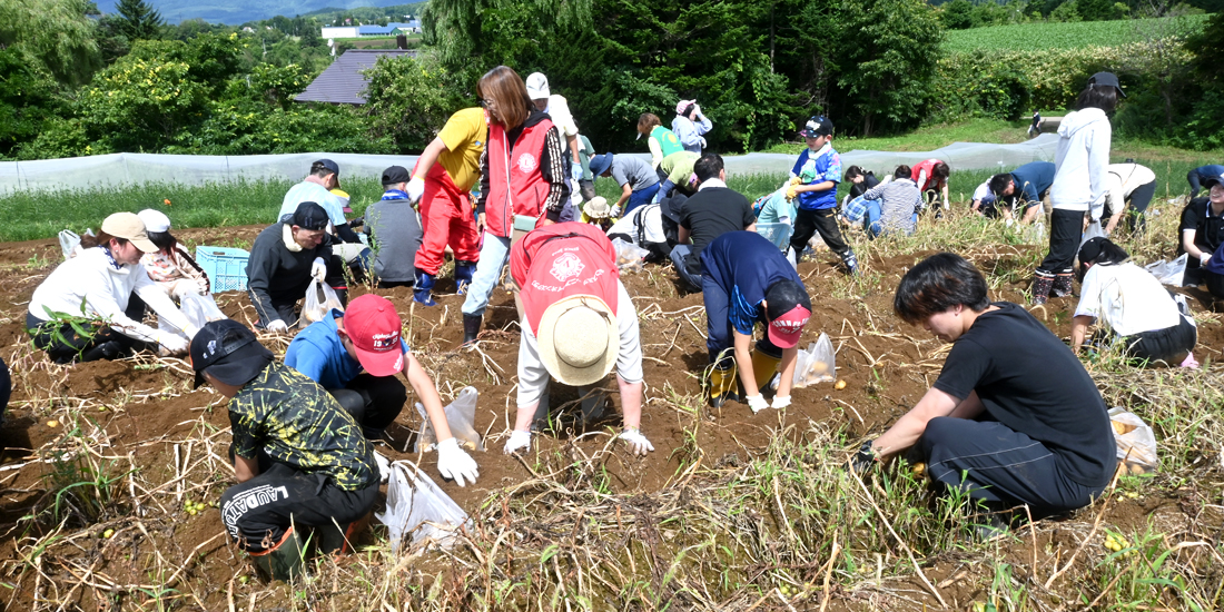シニア農園で育む大地の恵みと奉仕の輪